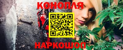 Альфа ПВП Донской